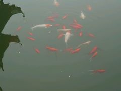 -张家港凤凰山景区河阳山歌馆