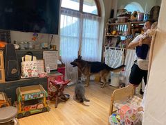 -小时光咖啡馆(开森度假森林店)