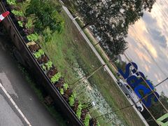 -Ohkajhu Organic Farm Sansai