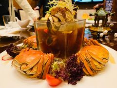 -成都保利公园皇冠假日酒店(熊猫基地店)