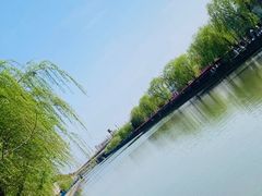 -高东镇樱花园