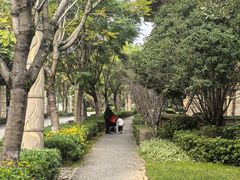 -大理实力希尔顿酒店御璽中餐厅YUXI – CHINESE RESTAURANT