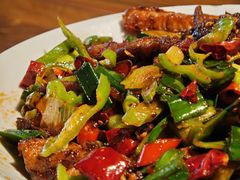 -柴窝堡22号辣子鸡·传承新疆菜