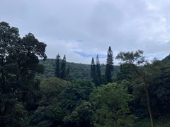 -广州市白云山风景名胜区