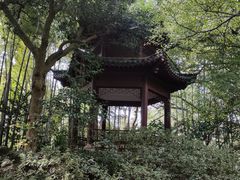 -杭州黄龙洞