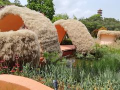 -深圳仙湖植物园