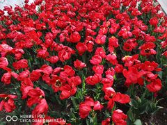 -西宁市人民公园(城西区)