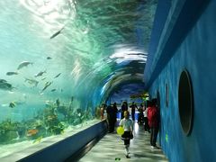 -常州海昌海洋探索馆