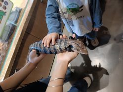 点击看大图 -Zoolung Zoolung动物主题公园(海信广场店)