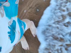 -普陀山风景名胜区-千步大沙