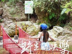 -南海湾森林生态园