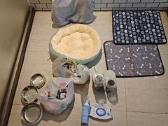 -趣玩宠物乐园寄养训犬训狗游泳池