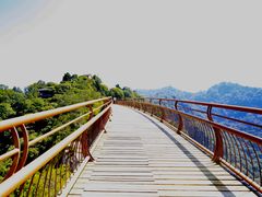 -少华山国家森林公园