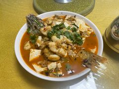 -煲来饱去冷水鱼