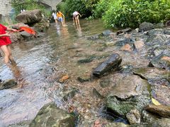-重庆彩云湖湿地公园