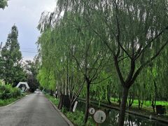 -广富林郊野公园