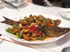 -煲来饱去冷水鱼