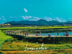 -光明小镇欢乐田园
