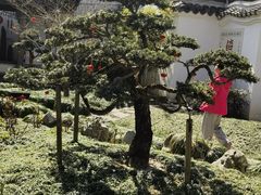 -绮园景区