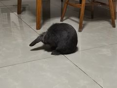 -美迦爱-牙专科·兔科·骨科诊疗中心(北苑店)