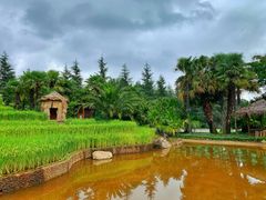 -云南民族村