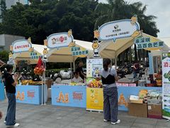 -京东电器城市旗舰店(深圳华强北店)
