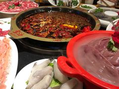 -一斗火锅·招财羊毛肚(北温泉九号店)
