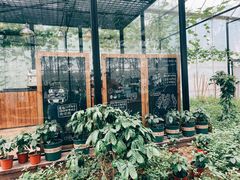 -MUSEO COFFEE咖啡博物馆