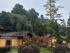 -缙云山景区