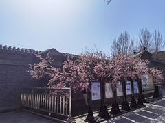 -张学良旧居陈列馆