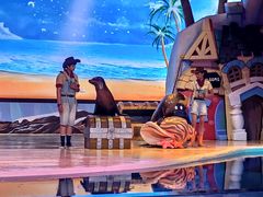 -三亚海昌梦幻海洋不夜城