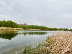 -马家湾湿地公园