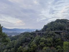 -福道