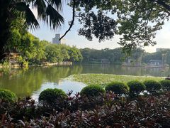 -荔湾湖公园