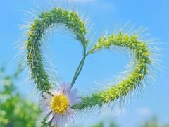 -上海滨江森林公园