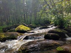 -汤旺河林海奇石景区