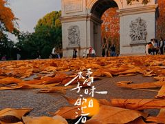 -蠡湖中央公园