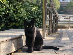 -苏州河梦清园环保主题公园