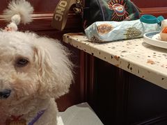 -点都德(广州白云山景区南门店)