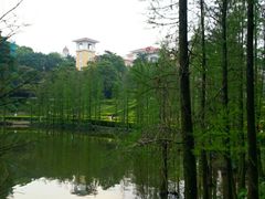 -三水森林公园