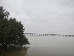 -宝安西湾红树林湿地公园