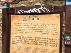 -米堆冰川