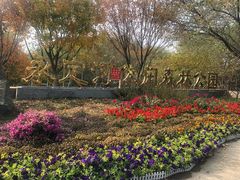 -永定河休闲森林公园