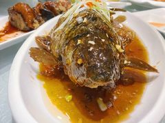 -津悦·正阳春烤鸭(红旗南路店)