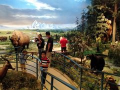 -陕西自然博物馆