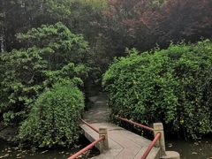 -汇龙潭
