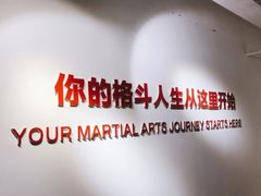 -EFL巴西柔术·综合格斗·泰拳·少儿体能训练(虹桥德必馆)