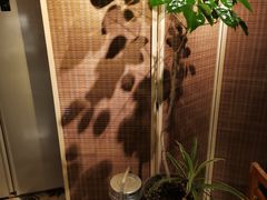 -时光花园(白鹭洲店)