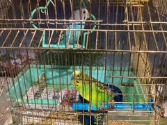 -草原塞蛮羊火锅城(港湾店)