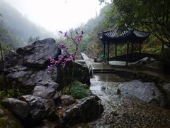 -百杖潭景区